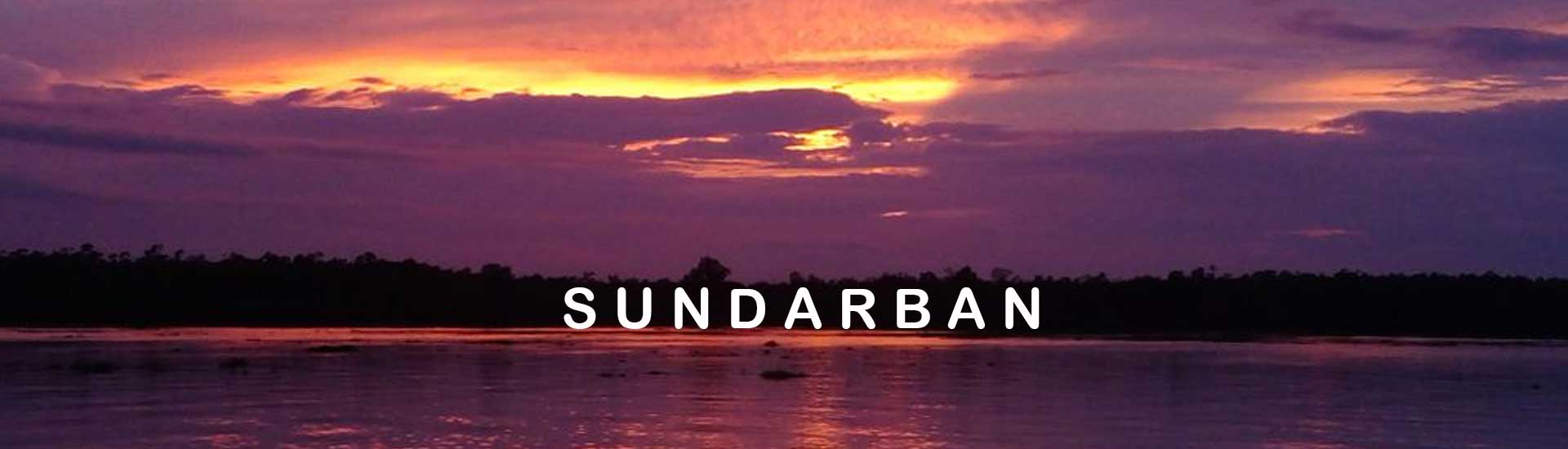 An Old Age Home Trip to Sundarban