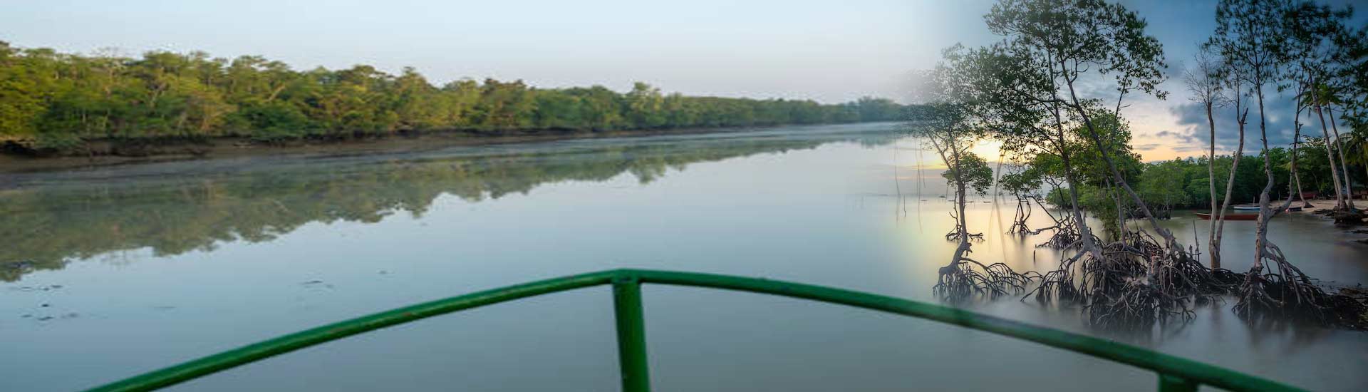 Plan a Cosy Stay in Sundarban with a Panoramic Jungle View