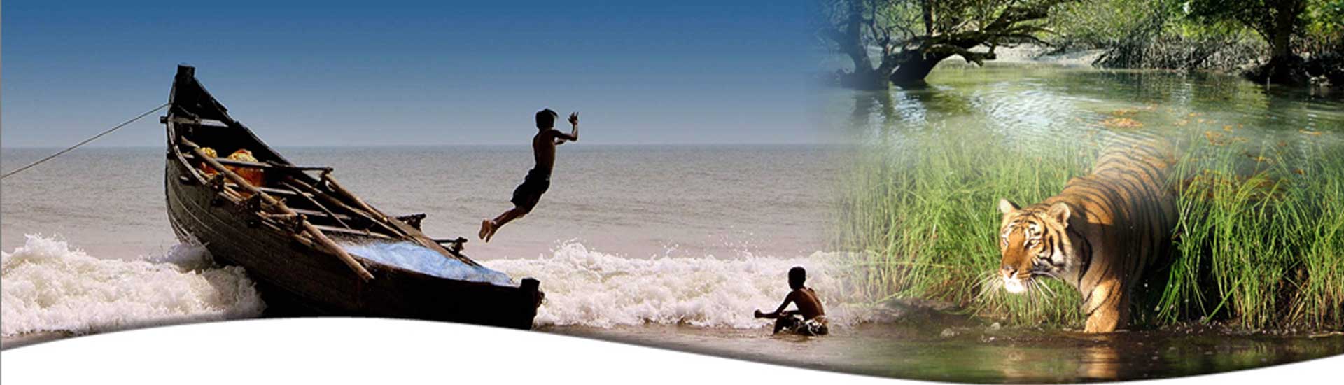 The Sundarban- Where Nature finds it’s Home