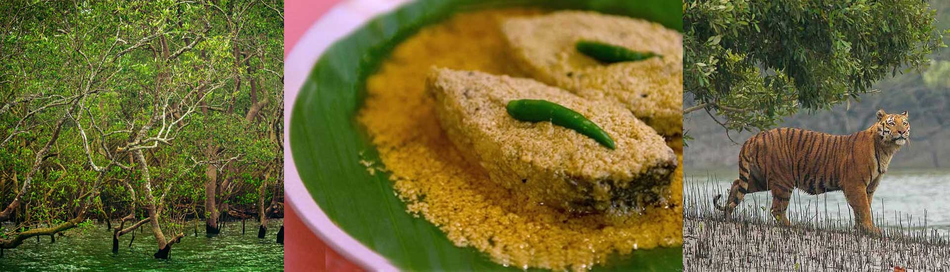 Ilish Utsav Sundarban 2025