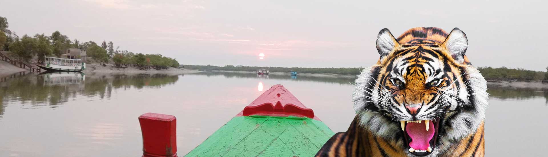 Best time to visit the wondrous Sundarban
