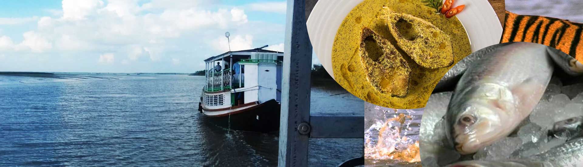 Sundarban tour and its benefits