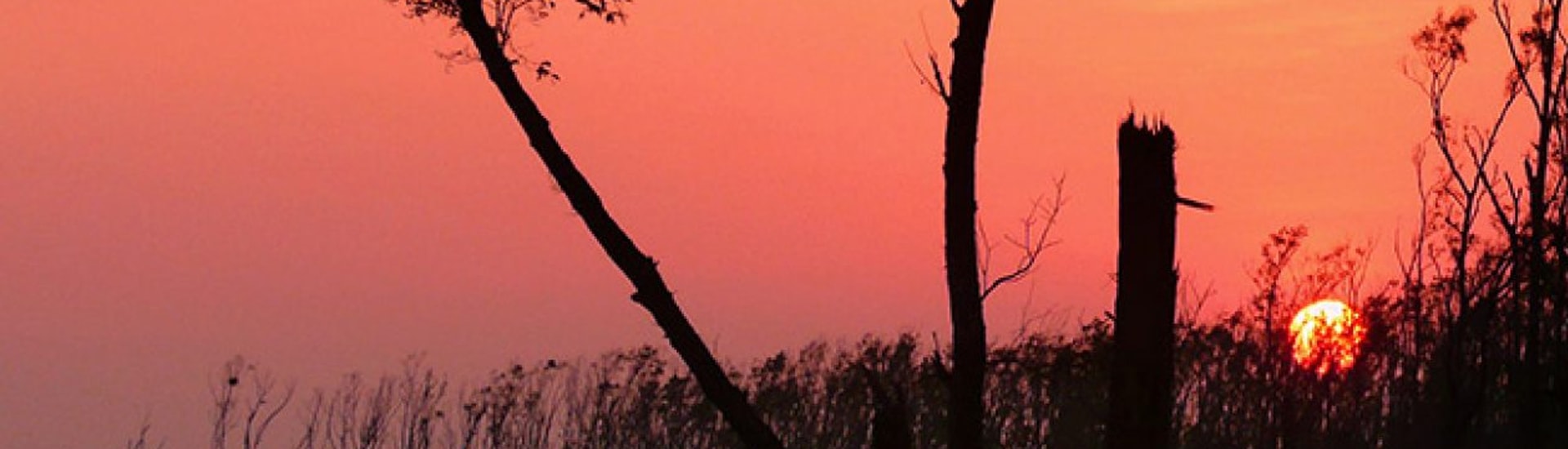 Amphan and Sundarban Tour– After Effect