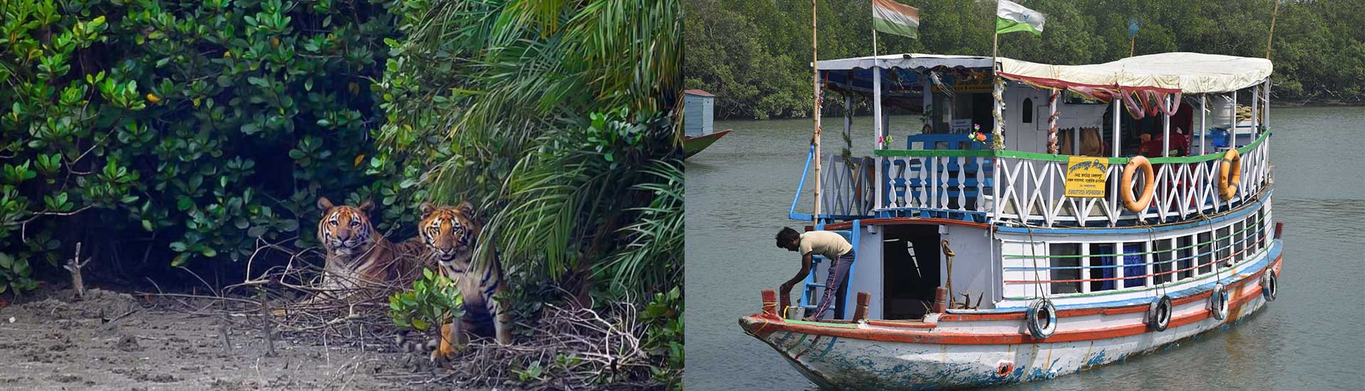 What is so Special About The boats in Sundarban?