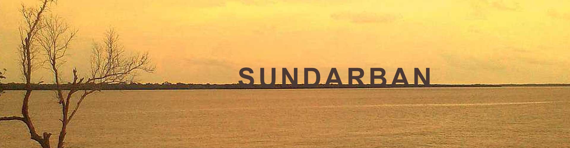 Why should you travel to Sundarban?