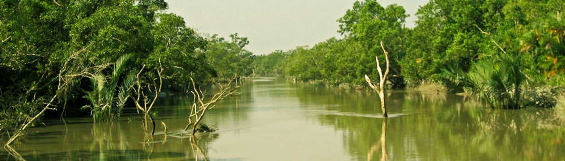 A February Trip to Sundarban